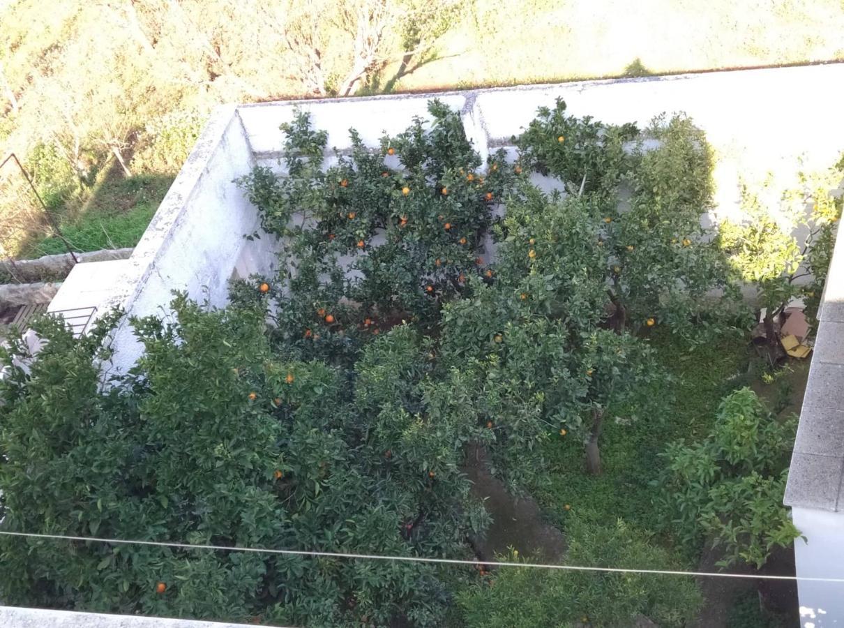 Villa Gardenia Ostuni Eksteriør bilde