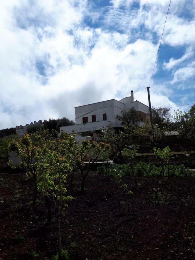 Villa Gardenia Ostuni Eksteriør bilde